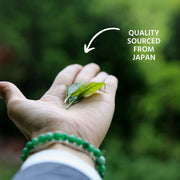 Matcha Powder - Certified Organic from Japan - Bulk Refill - Being Co.