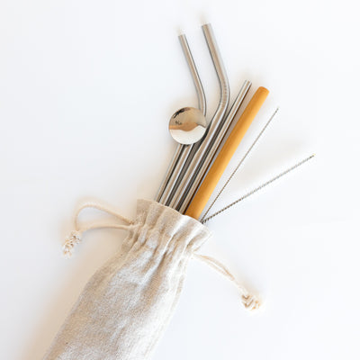 Silver Straw Set with Free Eco Cloth Bag. - Being Co.